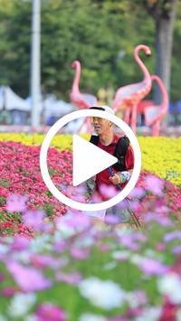 BIB:  <button type="button" onclick="openModal(27583237)" class="btn btn-primary btn-sm float-right" data-toggle="modal" data-target=".modal-high-quality">
                <i class="fa fa-download"></i> Download
                </button>